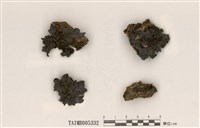 藏品(青貓耳衣)的圖片